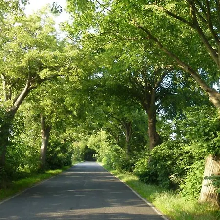 Haus Timpete Am Breetzer Bodden * Vieregge