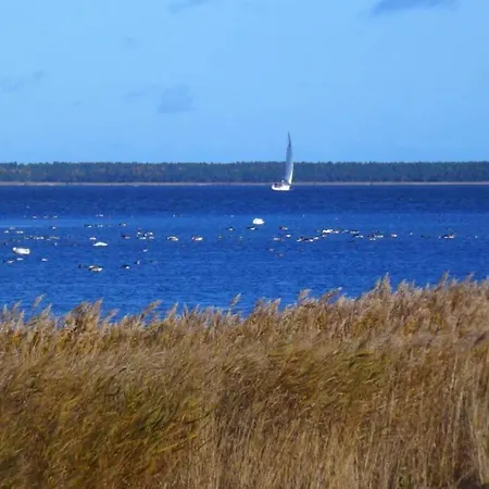 Ferienhaus Haus Timpete Am Breetzer Bodden Vieregge